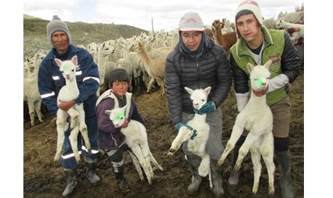 REGION ANCASH